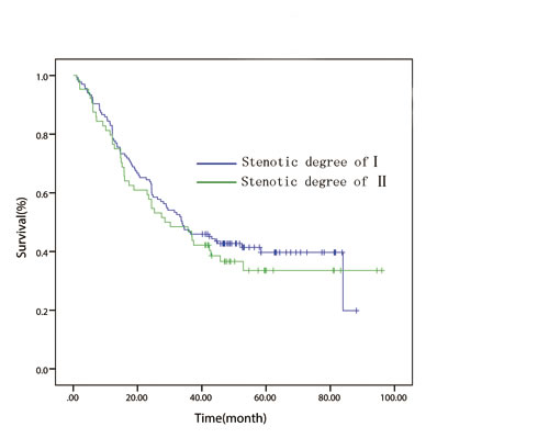 In patient with T3 disease, overall survival curve stratified by endoscopically luminal stenosis.