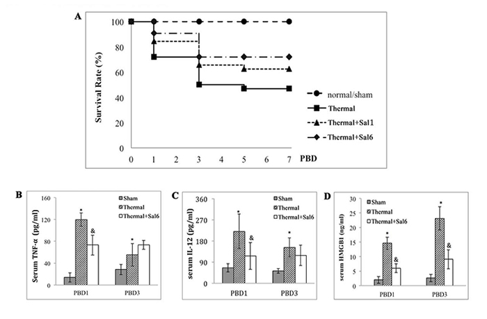 Protective effects of Sal on thermal injured mice.