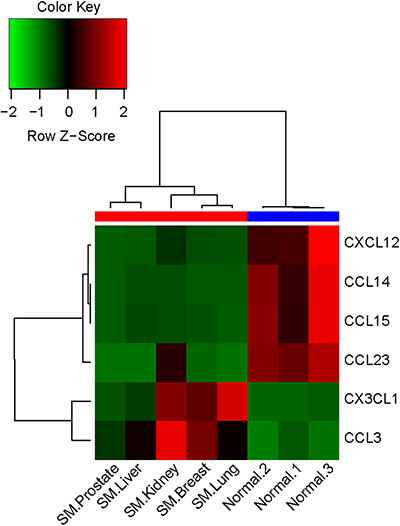 Heatmap of the selected differentially expressed chemokines between the two groups.