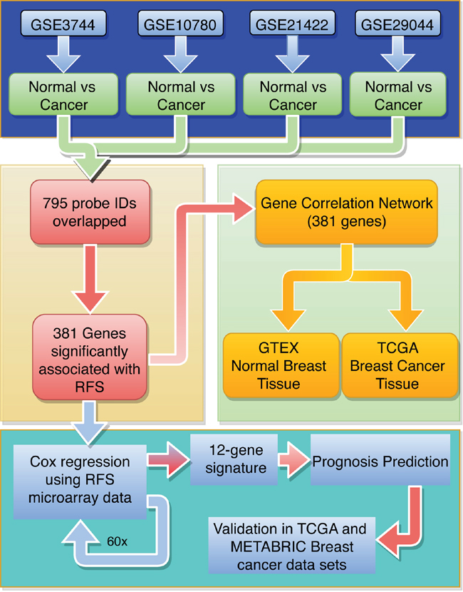 Flow diagram for identifying and validating a prognostic biomarker panel for breast cancer.