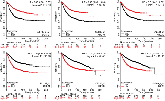 Kaplan-Meier survival curves for breast cancer patients according to tumor expression of genes with highest and lowest hazard ratios.