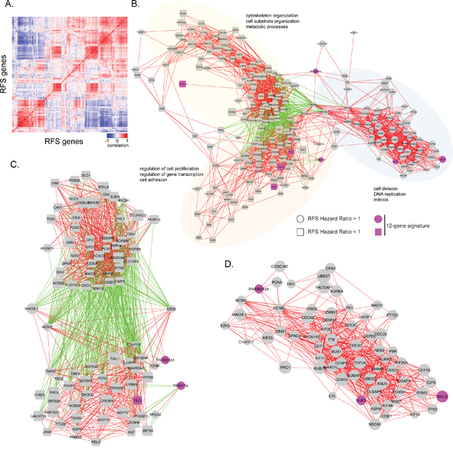 Visual representation of correlations in gene expression in normal human breast tissue samples.