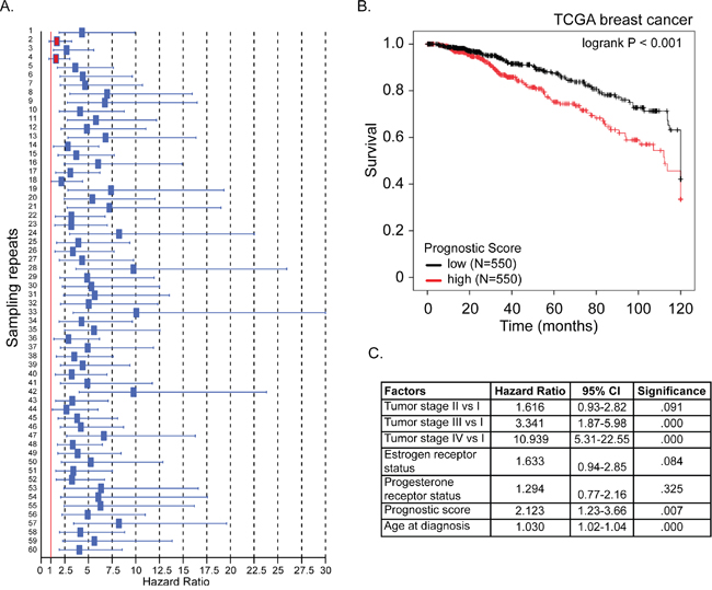 A 12-gene signature predicts breast cancer patient prognosis.