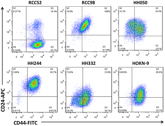Two color cytofluorometric analysis on six different histologic RCC cell lines.
