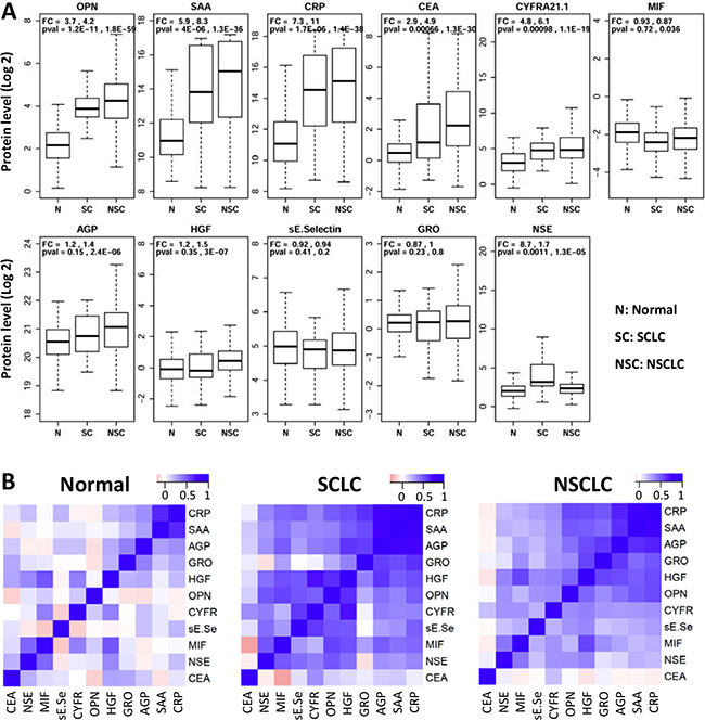 Distribution of serum protein levels measured in pre-treatment samples from 171 normal (N), 34 small cell (SC) and 218 non-small cell (NSC) lung cancer patients.