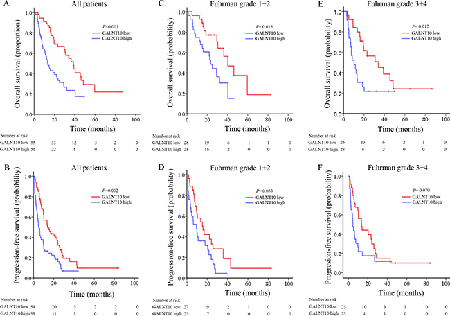 Kaplan-Meier analyses for prognosis of mRCC patients according to GALNT10 level.