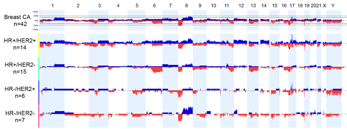 Genome view of copy number status in breast cancer subtypes based on hormonal receptor (HR) and human epidermal growth factor receptor 2 (HER2) status.