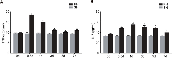 Serum TNF-&#x03B1; and IL-6 levels in the SH and PH groups during LR.