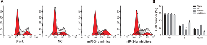 Cell cycle in the blank, NC, miR-34a mimics and miR-34a inhibitors groups detected by PI staining.