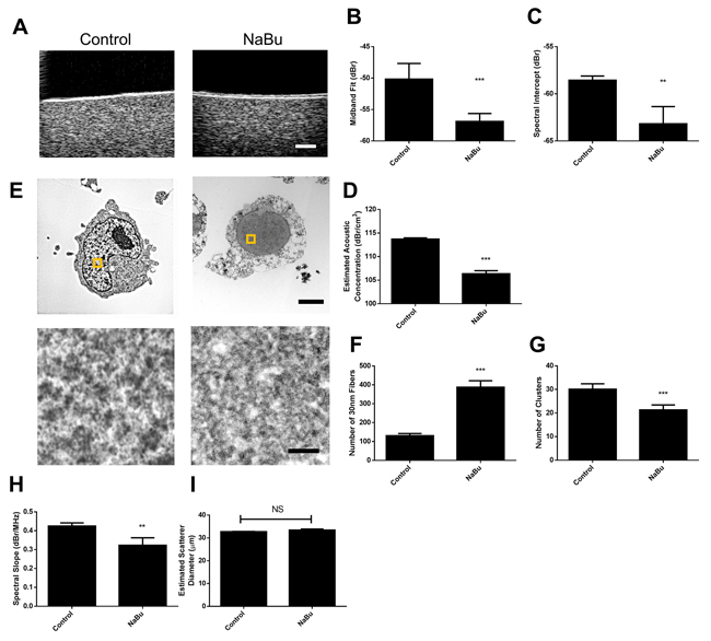 Representative results from sodium butyrate treatment of in vitro samples.