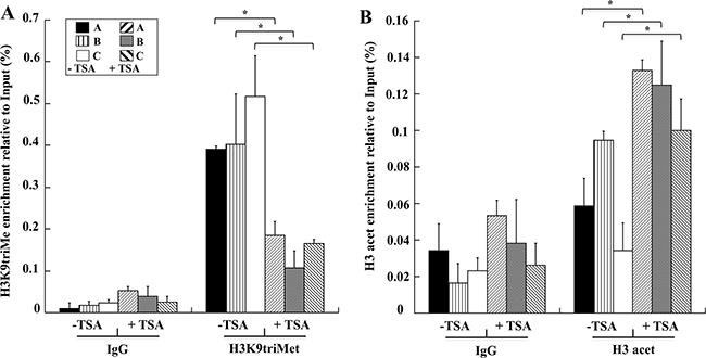 TSA induces in AGS cells decreased levels of H3K9triMe and increased levels of H3 acetylation.