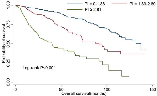 Kaplan-Meier curves for overall survival according to prognostic index in validation group.