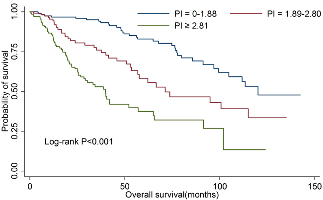 Kaplan-Meier curves for overall survival according to prognostic index in all patients.