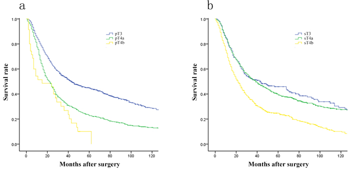 Comparison of survival curves among patients according to the pT and sT stage (each,