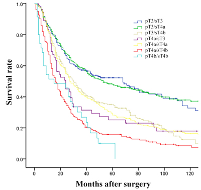 Comparison of survival curves among patients which were divided into 7 groups by pT and sT stage.