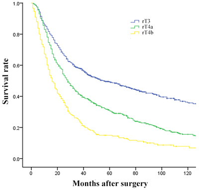Comparison of survival curves among patients according to the revised T stage (