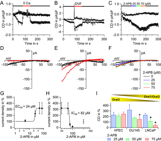 Electrophysiological and pharmacological characterization of ICRAC in hPEC and prostate cancer cell lines.