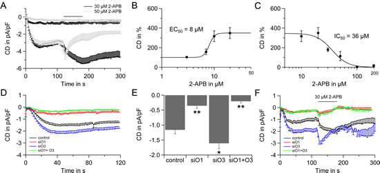 2-APB specific electrophysiological profile of LNCaP cells and the role of Orai3.