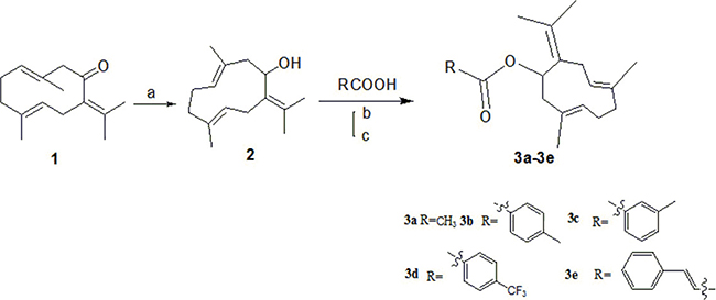 Scheme 1: Synthesis of 3a-3e.