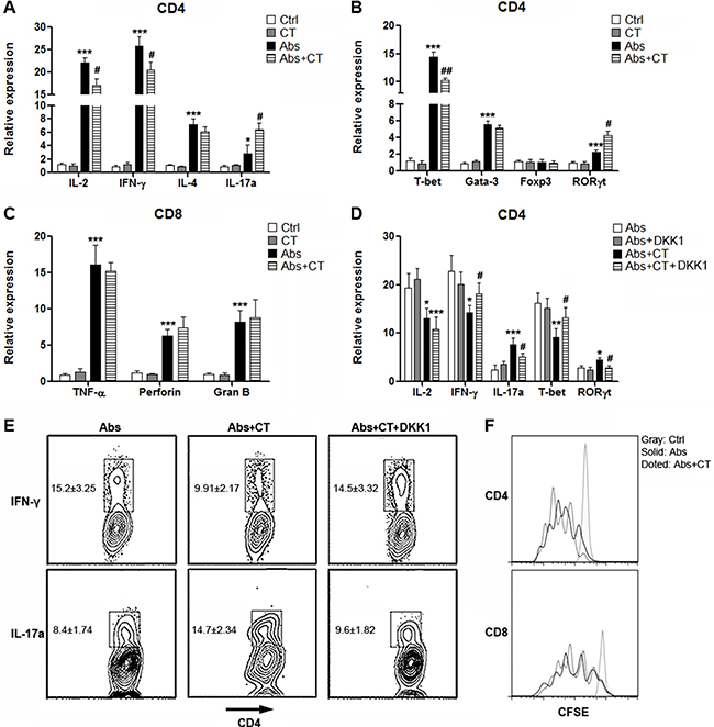 CT26.CL25 cells bias CD4+ T cell polarization towards Th17 via Wnt signaling.