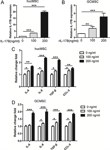 IL-17B prompted the expression of soluble factors in MSC.