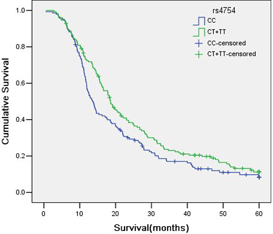 Genotypes of rs4754 SNP site in SPP1 and its association with NSCLC survival time.