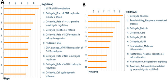 The enrichment analysis of gene profile alterations in dhC16-Cer treated PEL cells.