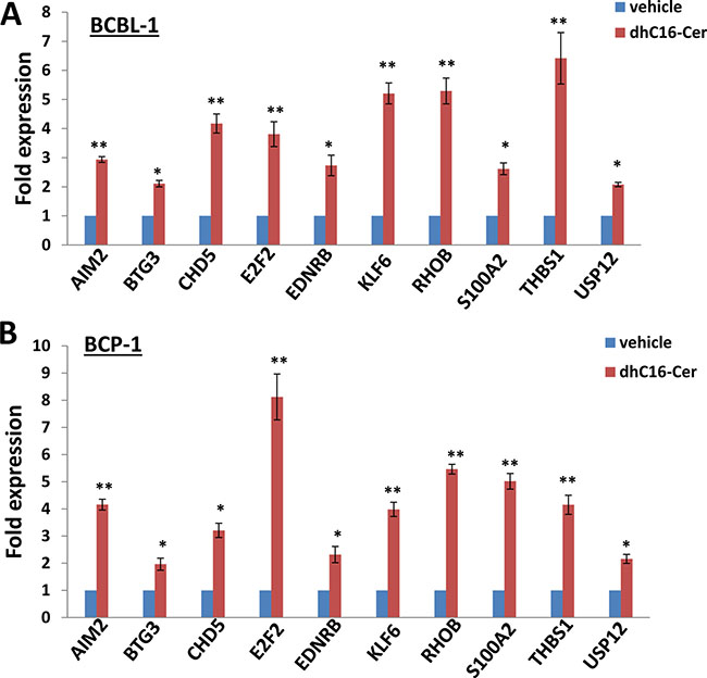 dhC16-Cer treatment up-regulates a subset of tumor suppressor genes from PEL cells.