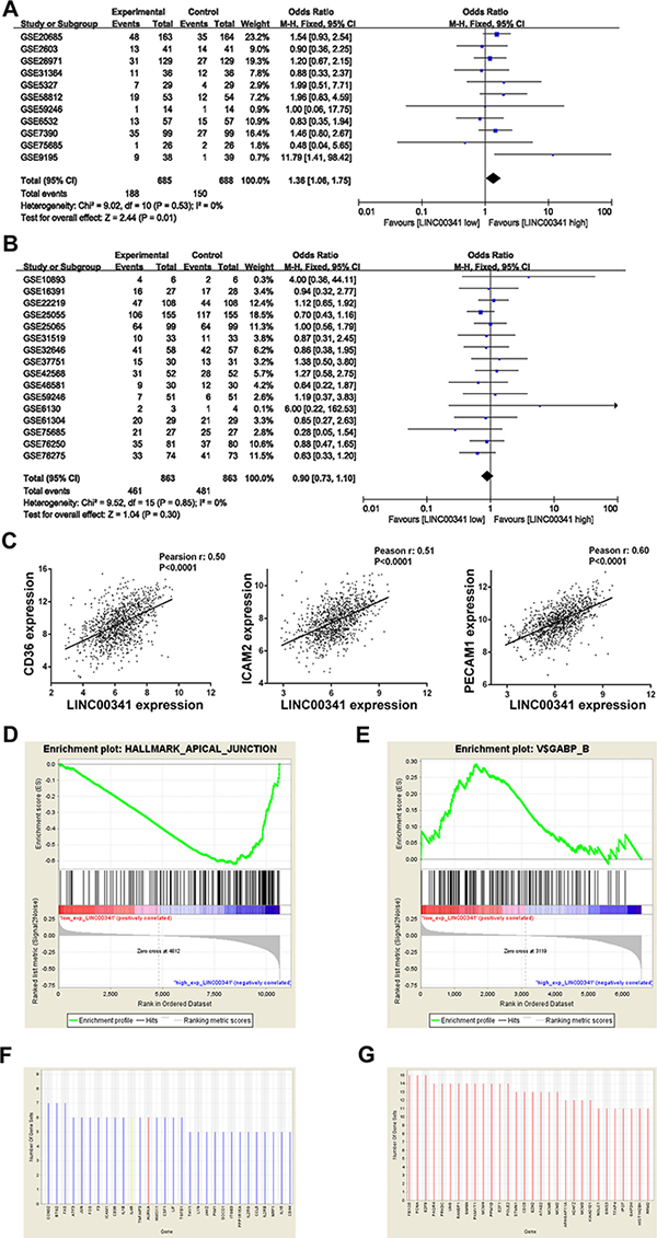 Low expression of LINC00341 increased tumor metastasis.