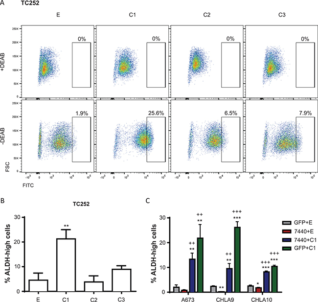 ALDH activity is influenced by C/EBP&#x03B2; expression.