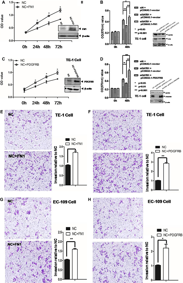 Figure 4: