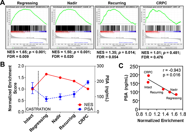 Reprogramming in vivo by androgen-deprivation and acquired therapy resistance.