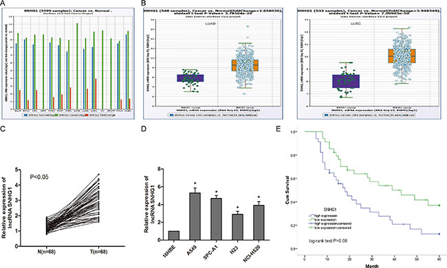 LncRNA SNHG1 was up-regulated in NSCLC.