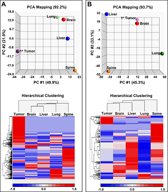 Principal component analysis (PCA) maps along with hierarchical clustering&#x2019;s of metabolites and lipids.