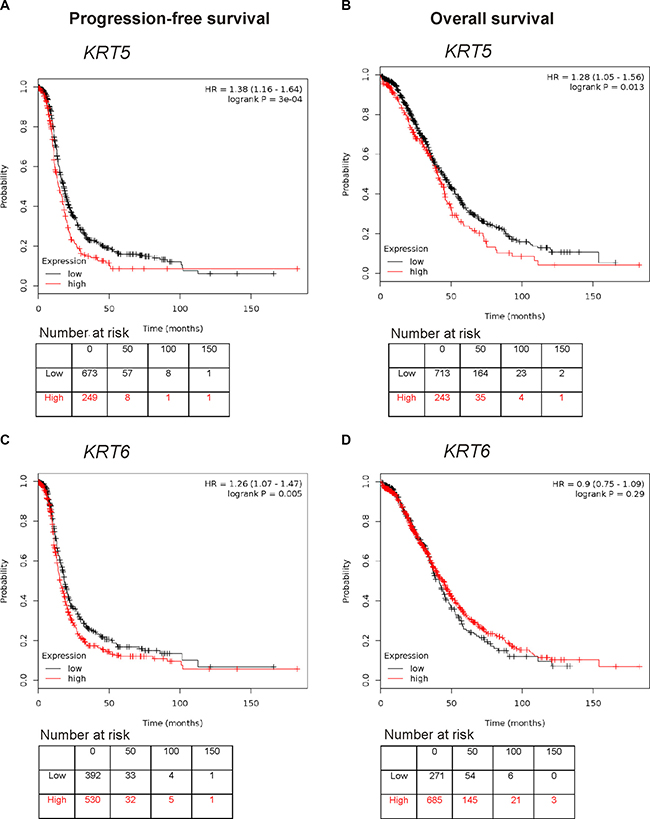 Kaplan Meier survival analysis showing association of KRT5 and KRT6 mRNA expression with patient outcome.
