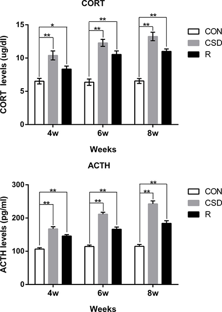 Serum levels of corticosterone (CORT) and adrenocorticotropic hormone (ACTH) from rats.