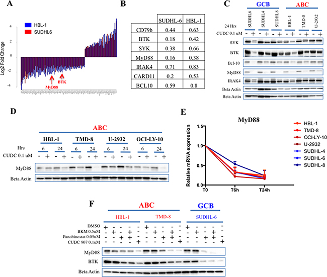 Quantitative proteomics identifies B-cell receptor signaling proteins as targets for CUDC-907 in DLBCL cell lines.
