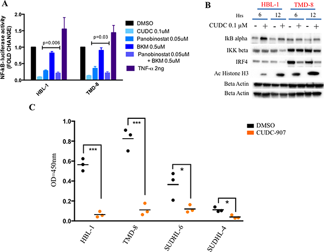 CUDC-907 inhibits NF-kB signaling in ABC DLBCLs.
