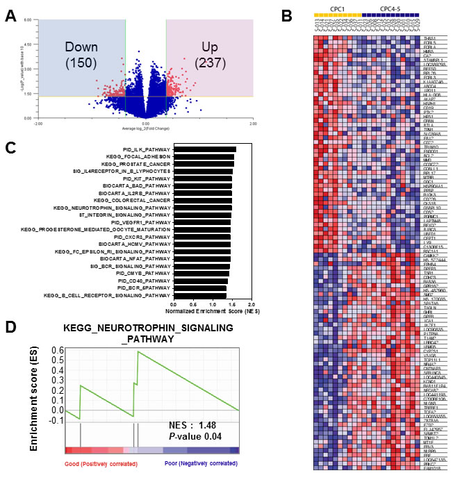 Gene set enrichment analysis of the differentially expressed gene signatures in the CA patients.