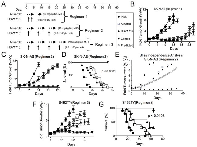 Alisertib and HSV1716 are synergistic in neuroblastoma xenografts.