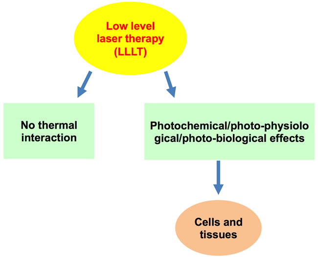 Low-level laser therapy (LLLT) has bio-stimulatory effects on the cells and tissues.