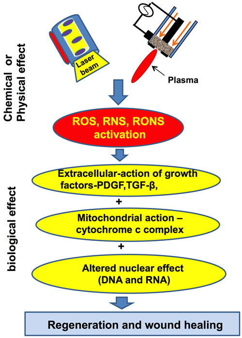 Laser and Non-thermal plasma can activate the free radicals (RNS, ROS), which lead to a cascade of events resulting in faster wound healing and regeneration of cells and tissues.