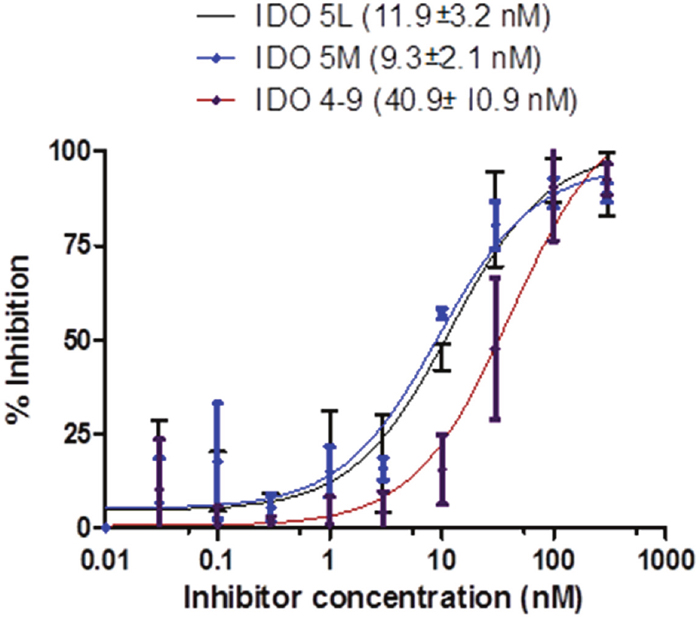 IFN-&#x03B3; induces IDO activity in the HeLa cell lines, the activity of which is inhibited by different IDO inhibitors (IDO49, IDO5l, IDO5m).