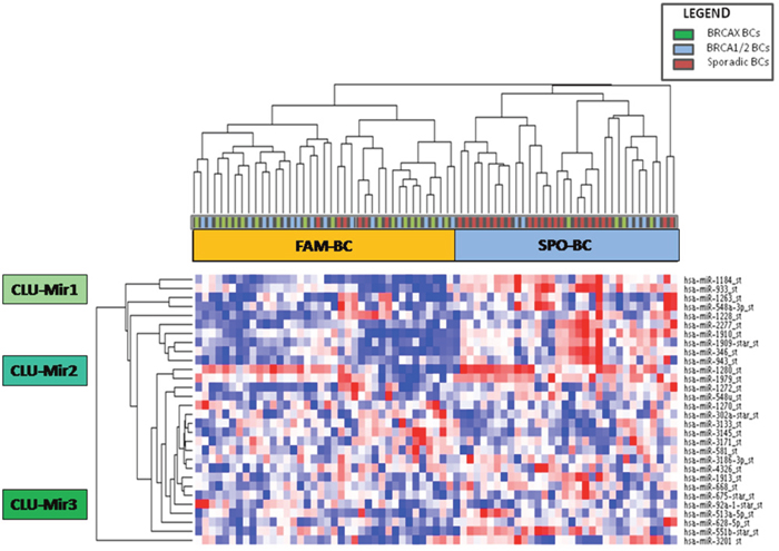 Unsupervised hierarchical clustering showing 28 differentially expressed miRNAs between familial (green and blue squares) and sporadic breast cancer cases (red squares) which cluster in two groups called FAM-BC and SPO-BC.