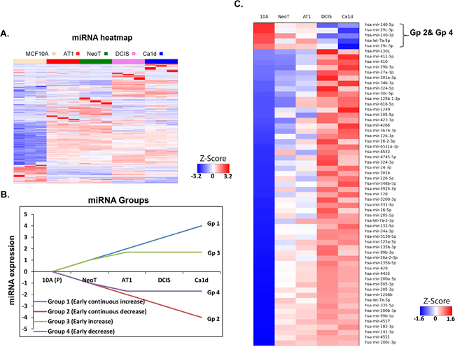 miRNA aberrations during preneoplastic transition in TNBC development.