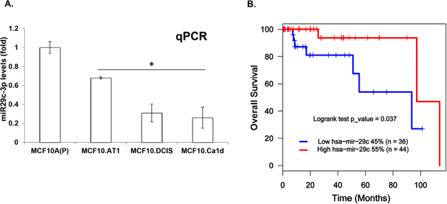 miRNA-29c is lost during TNBC progression and its low levels predict poor survival in basal-like breast cancer patients.