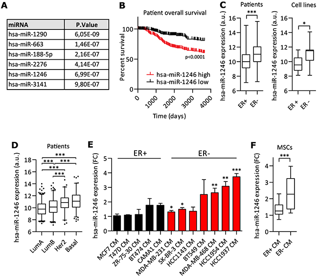 miR-1246 expression and regulation in MSCs and breast cancer.