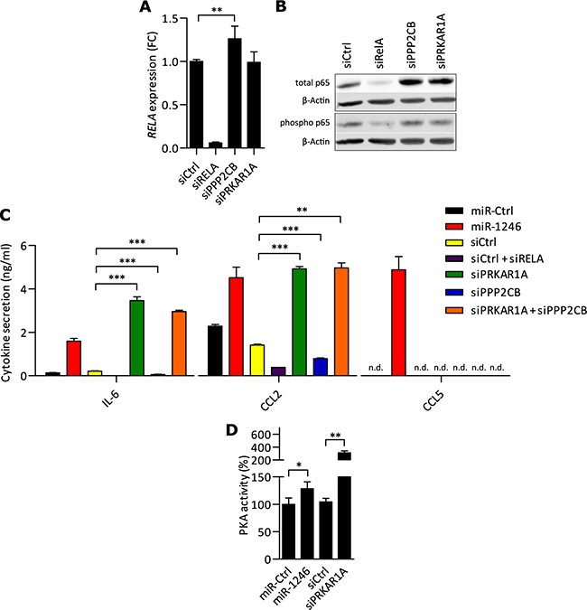 PKA acts pro-inflammatory in MSCs and miR-1246 increases PKA activity.