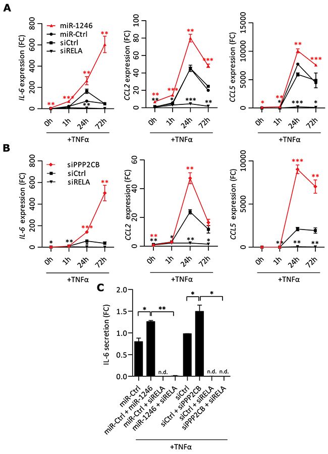 miR-1246 and PPP2CB regulate transcription of pro-inflammatory mediators in combination with TNF&#x03B1; stimulation.