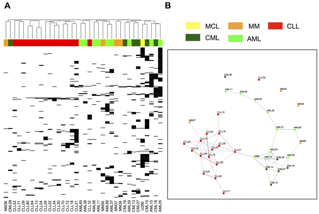 Unsupervised clustering analysis and Jaccard distance graphs of &#x201C;cancer-exclusive&#x201D; HLA-A*02:01 ligands on hematological cancers.